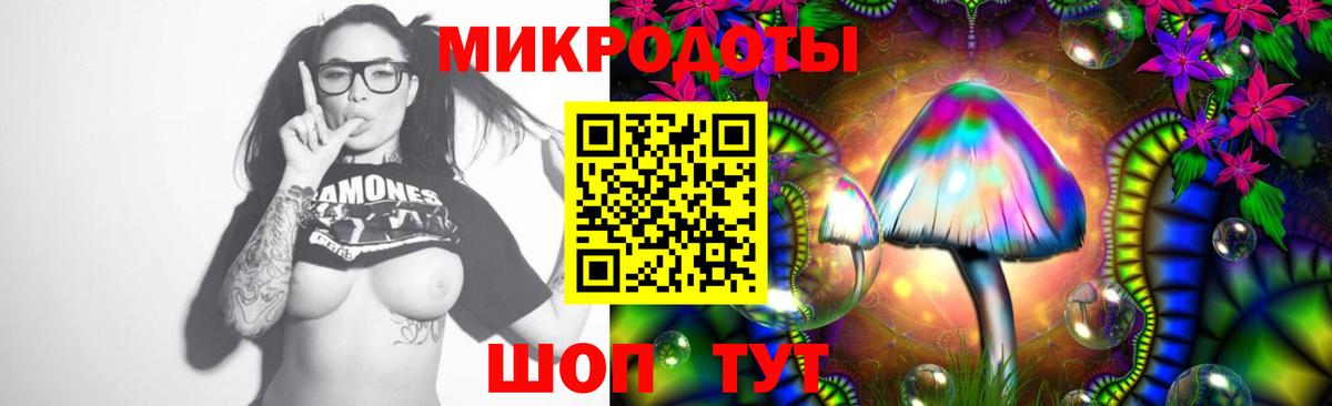 НБОМе Котельники